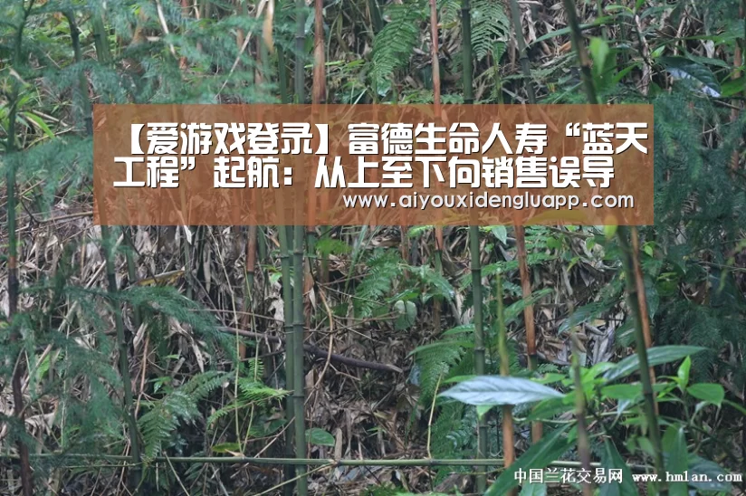 爱游戏赛事
